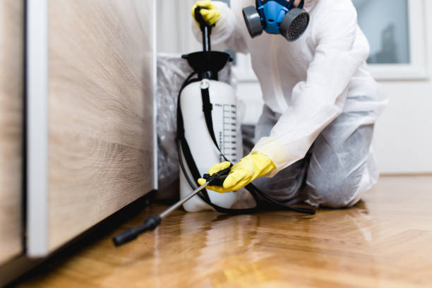 Reliable Sperry, OK Pest Control Solutions