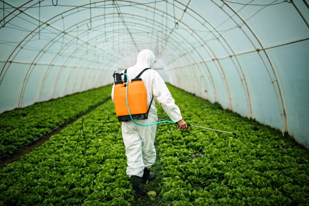 Best Pest Prevention Services  in Sperry, OK