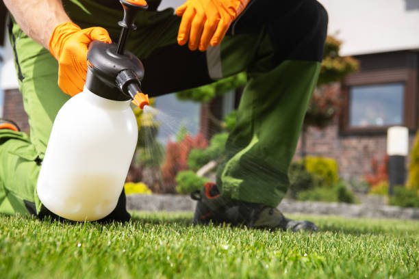 Best Pest Removal Services  in Sperry, OK