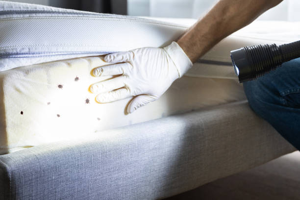 Best Termite Control Services  in Sperry, OK