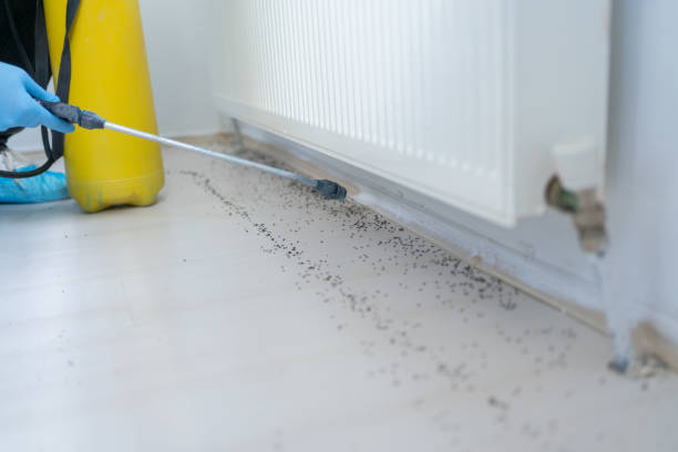 Best Termite Control Services  in Sperry, OK