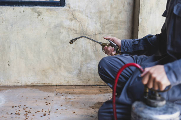 Best Wasp Removal Services  in Sperry, OK
